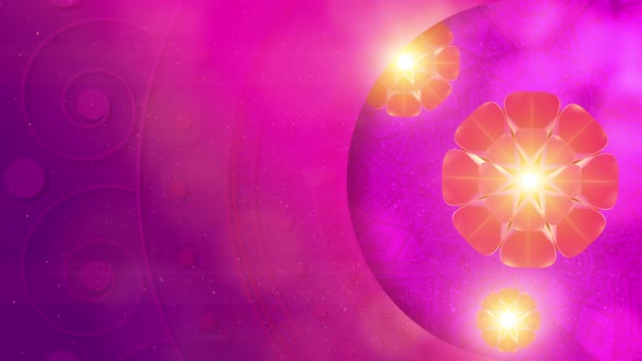 Happy Diwali Festival Cerebration 11 alt