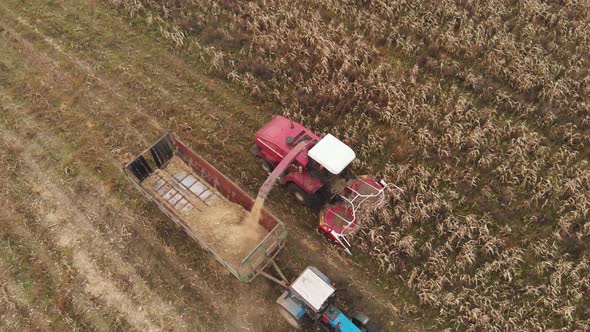 Combine Harvester Removes Dry Corn in the Tractor Trailer alt