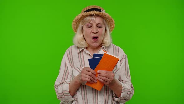 Traveler Tourist Senior Woman Holding Passport Tickets Dreams of Which Country Go Rest on Vacation alt