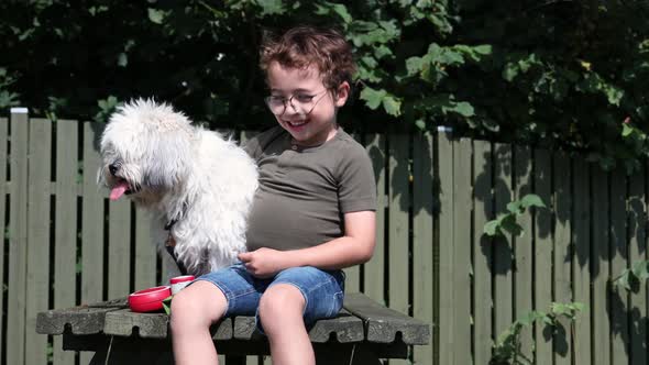 Happy kid with his white dog sitting on a bench in the park