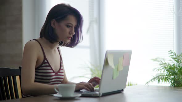 Young Beautiful Brunette Woman Works Home Kitchen Workplace Laptop alt