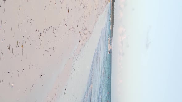 Vertical Video of the Beach on Zanzibar Island Tanzania Aerial View alt