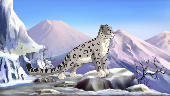 Snow leopard in the mountains 4K
