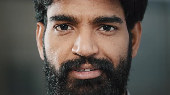 Close Up Portrait Male Bearded Face Adult Brunet Man with Dark Brown Eyeballs Looking at Camera alt