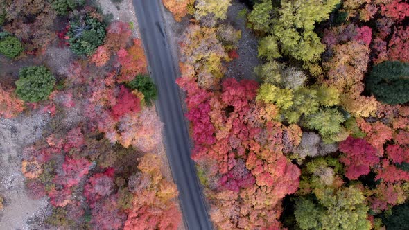 Top Down Aerial View Looking at Colorful Fall Foliage Following Road alt