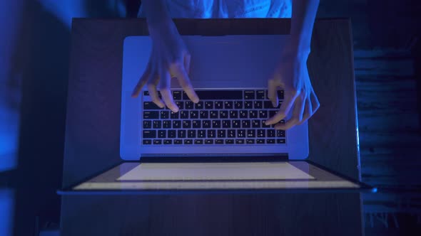 Girl typing message on laptop keyboard under moonlight, Freelance work, Computer, Night, Lifestyle