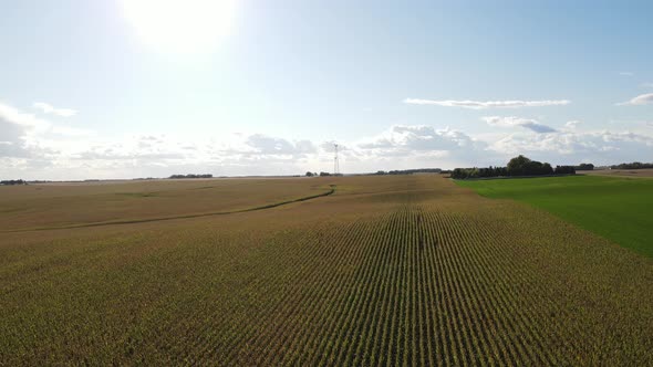 Panorama of farm fields as far as the eye can see. Groups of trees scattered. Blue sky with clouds.