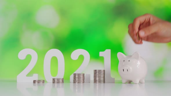 2021 saving growth and business investment concept with piggy bank