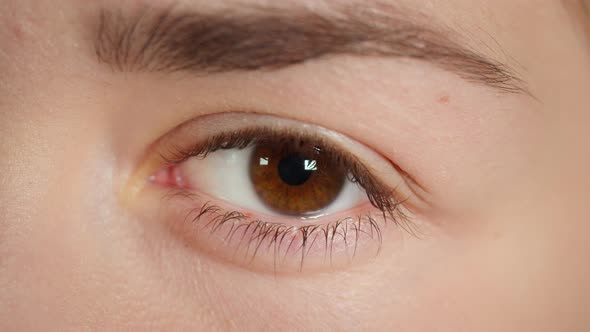 Closeup Shooting of Narrowing of Pupil Changing of Brown Eye Pupil Size alt