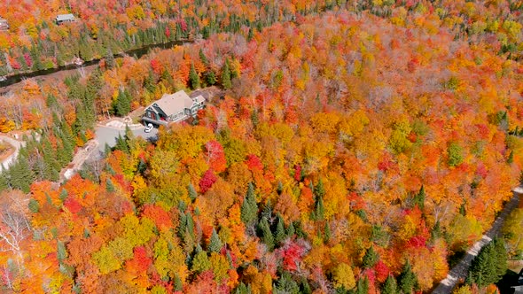 Aerial panoramic view of fall season foliage colors.