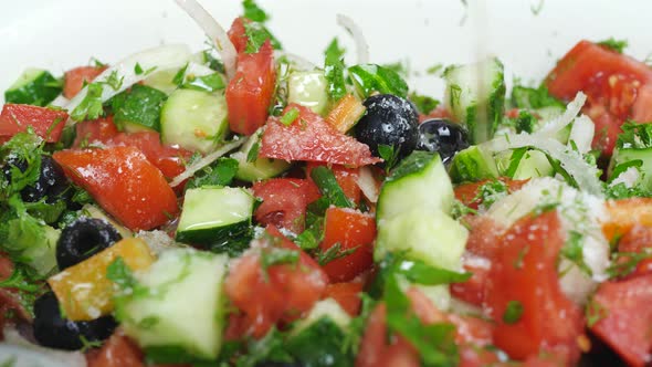 Salt Salad with Red Tomato, Green Cucumber, Onions and Olives