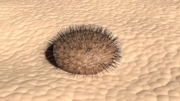 Cancer Skin Melanoma Medical Health Care Concept Dermatology Disease Body alt