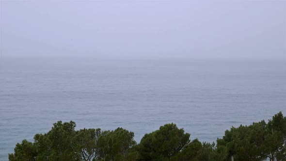 Snow Falling Over Sea And Pine Trees