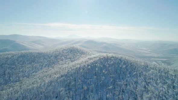 Aerial Winter Mountain Landscape of a Frozen Forest with Snow and Ice Covered Trees on a Sunny alt
