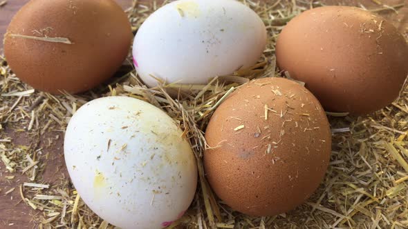 Eggs Turning On Straw alt