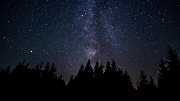 The Movement Of The Stars In The Night Sky alt