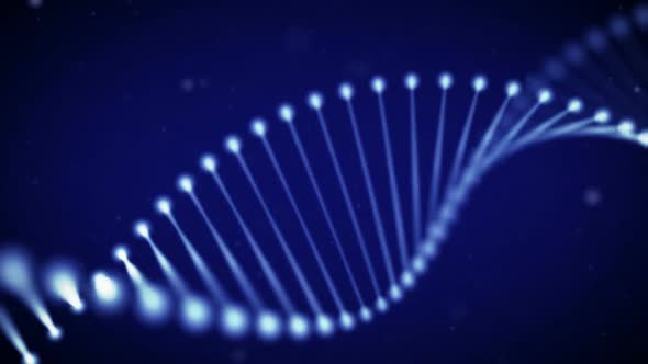 DNA Chain