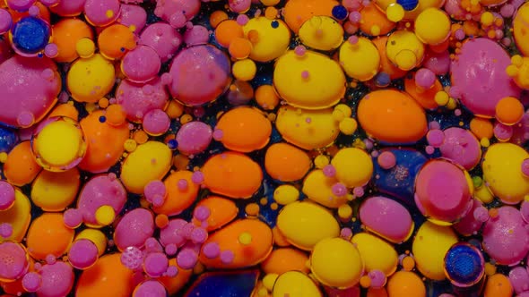 Fantastic Structure of Colorful Oil Paint and Ink Bubbles Chaotic Motion Abstract Colorful Paint alt