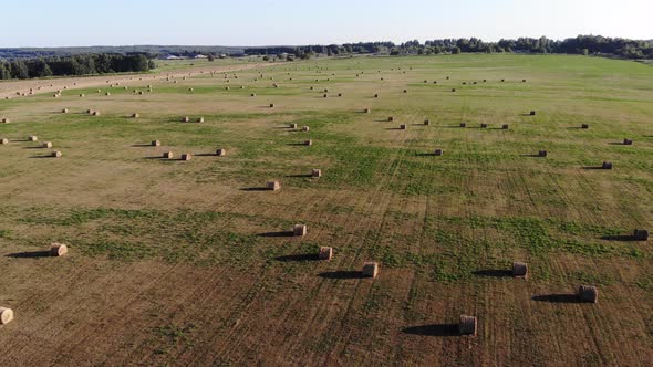 8 Field With Hay Rolls