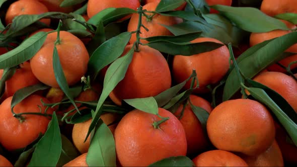 Top View of Mandarine Orange with Leaves in Wooden Box