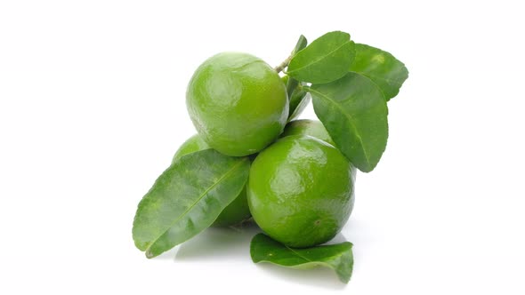 Rotating shot Limes with leaves isolated on white background.