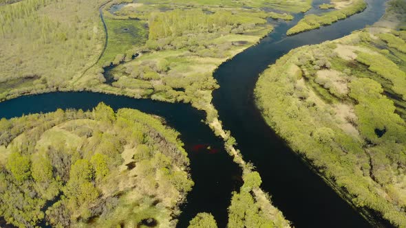 Aerial View Green Forest Woods And Curved River Landscape In Spring Day alt