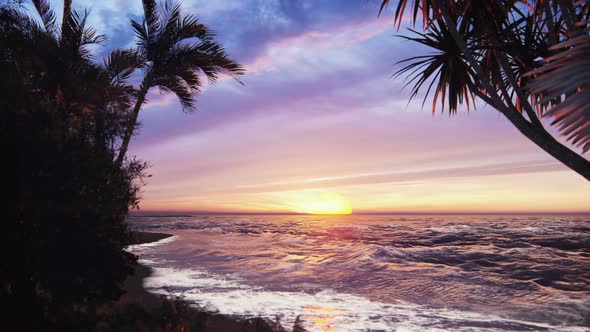 Tropical Sunrise alt