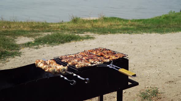 Barbecue By the Lake