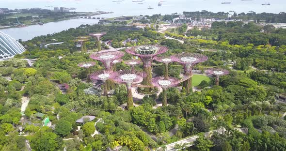 Supertree Grove Footage Done From the Air By Drone Discending Above the Park, Gardens By the Bay