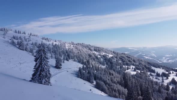 Flying Over the Mountains in the Winter