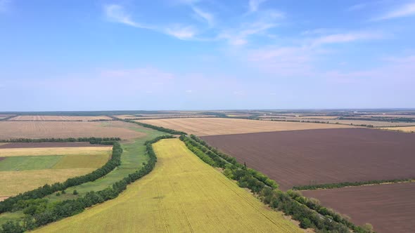 Autumn agricultural fields from a bird's eye view