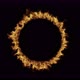 Ring of Fire Loop - VideoHive Item for Sale