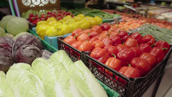 Different Vegetables are on Display in the Store