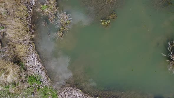 Aerial view looking down at beaver pond with sticks lining the shore alt