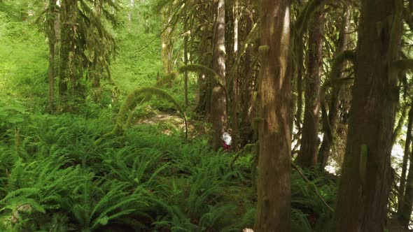 Inspiration and Motivation to Active Leisure and Recreation Eco Tourism USA alt