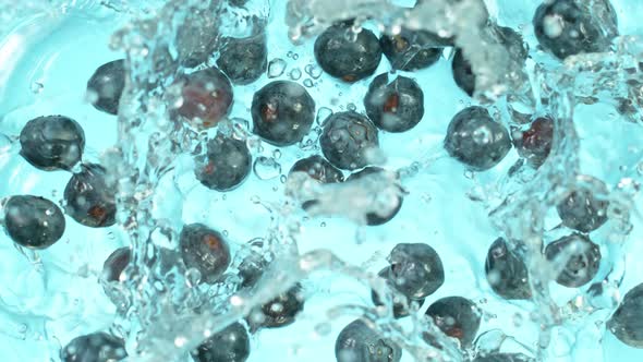 Super Slow Motion Shot of Fresh Blueberries Falling Into Water and Splashing at 1000Fps alt