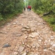 Tourists Walk Along a Stone Trail in the Siberian Forest - VideoHive Item for Sale