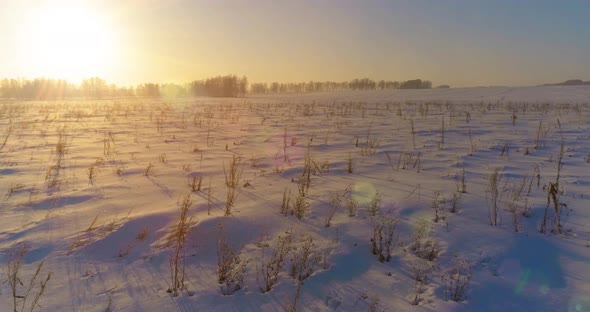 Aerial Drone View of Cold Winter Landscape with Arctic Field Trees Covered with Frost Snow and alt