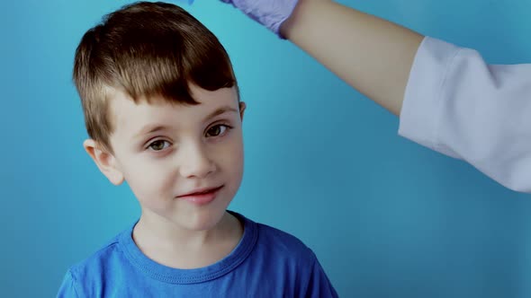 The pediatrician in the gloves will check the presence of lice and nits in a small child alt