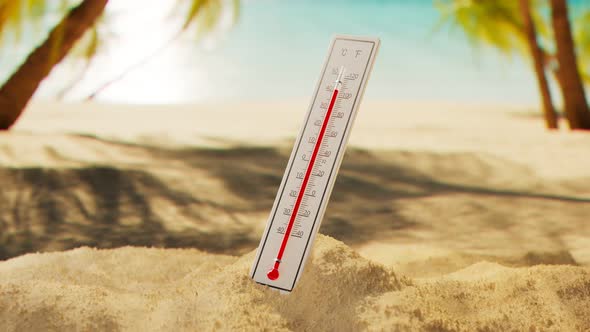The thermometer at the beach in the shade of the palm trees. Tropical climate. alt