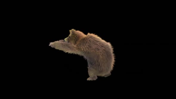 187 Bear Standing Magic Attack HD alt