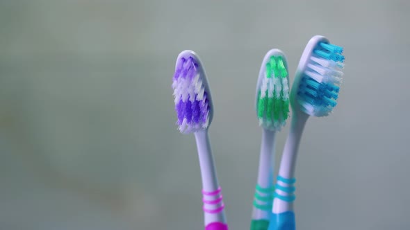 Close-up of colorful soft toothbrushes with lot of bristles on gray background. alt