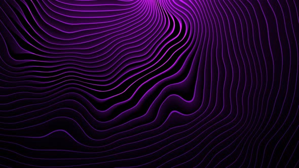 Purple Neon Lines alt