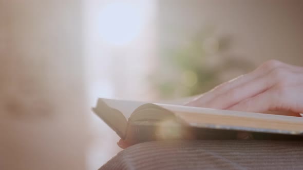 Woman Reads Book at Home. Hand Turning Pages of a Book