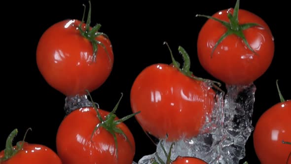 Small Delicious Cherry Tomatoes are Flying on the Black Background with Splashes alt