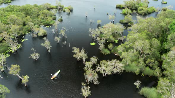 Tourists Canoe or kayak in mangrove forests at Rayong Botanical, Thailand.