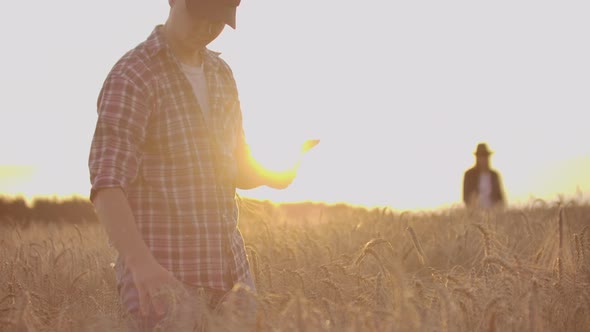 Farmers Man and Woman in Hats and Tablets at Sunset in a Wheat Field and Shirts Inspect and Touch alt