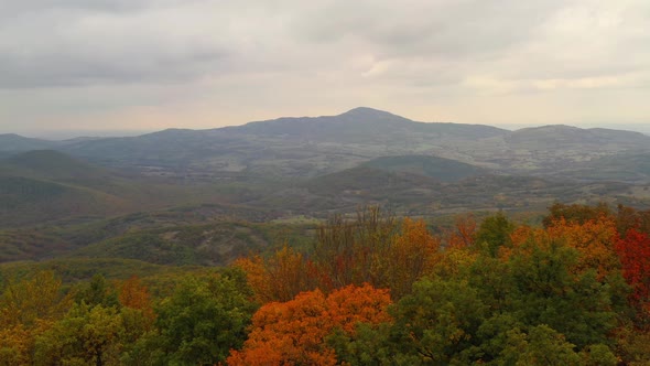 Flight Over An Oak Forest Painted Since Autumn alt