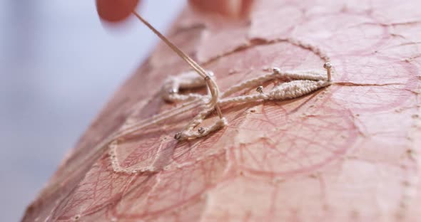 Netting of a Lace Doily alt