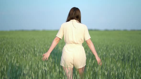 Back View of Girl Walking in Green Wheat Field alt